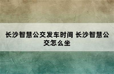 长沙智慧公交发车时间 长沙智慧公交怎么坐